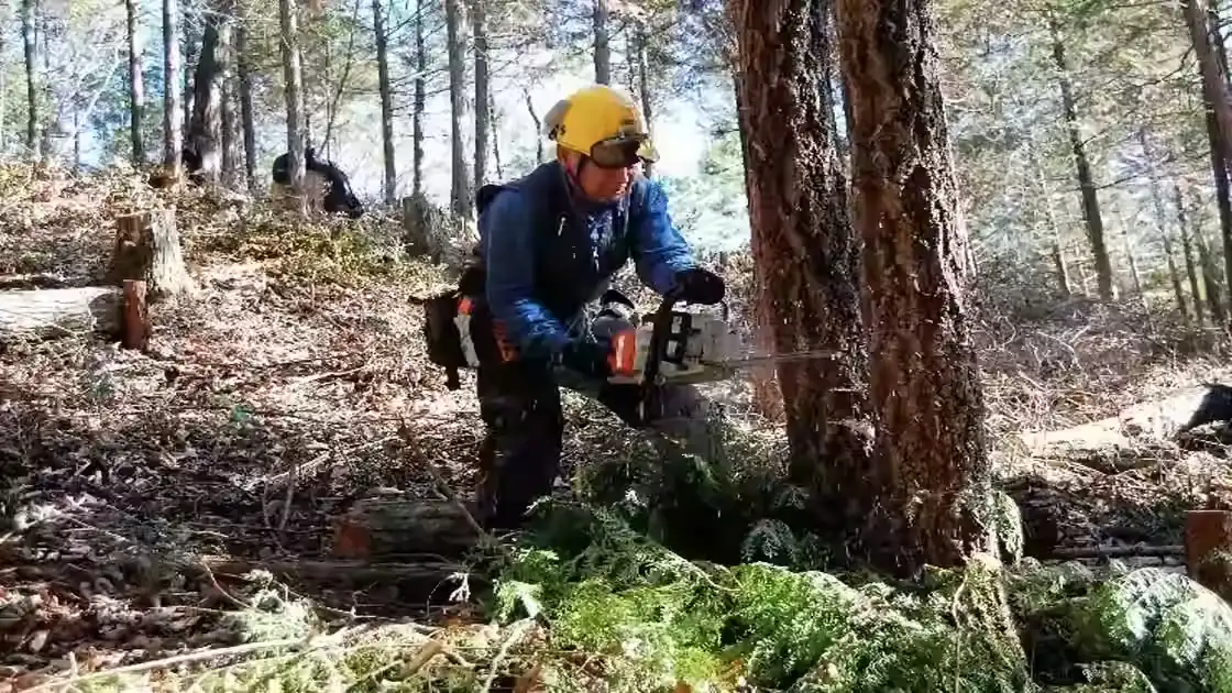 森林・林業ボランティア活動